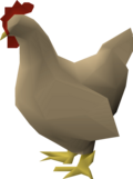 File:Chicken.webp